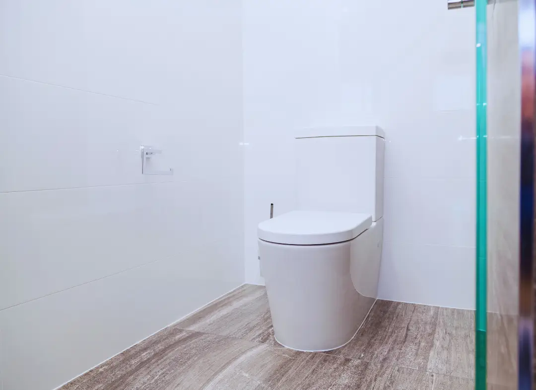 Remplacement de wc Ham