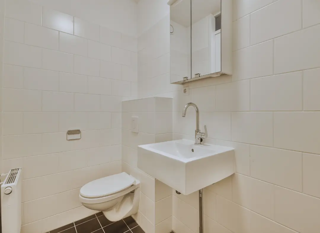 Pose WC Suspendu Ham